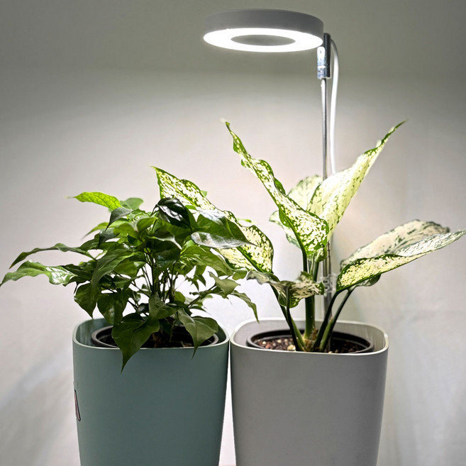 코아코아 LED 식물등 스탠드포함 10단계 혼합광 가성비 식물조명, 1개