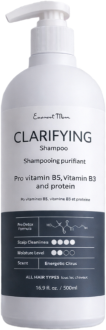 어니스트맘 클라리파잉 샴푸, 500ml, 2개