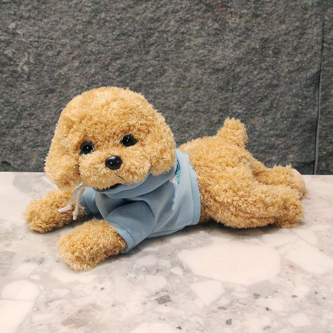 강아지 애착인형 발렌타인데이 화이트데이 귀여운 선물 봉제 동물 푸들 인형, 라이트 브라운-블루 스웨트 셔츠, L-50cm, 1개