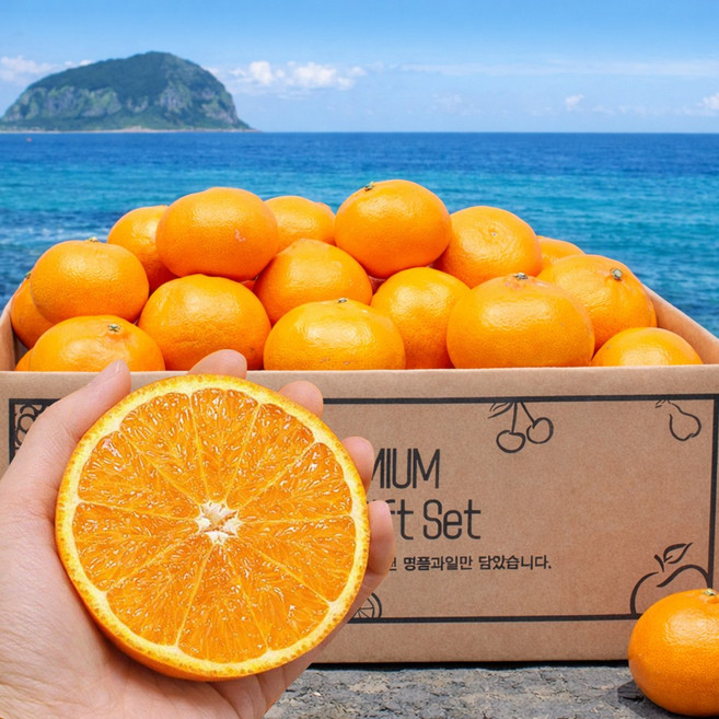 고당도 제주 천혜향 가정용 초특가, 천혜향 10kg 대과, 1박스