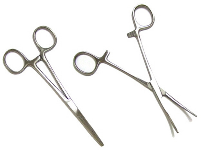 케리 16cm 곡선형 의료용 겸자 가위 집게 켈리, 1개