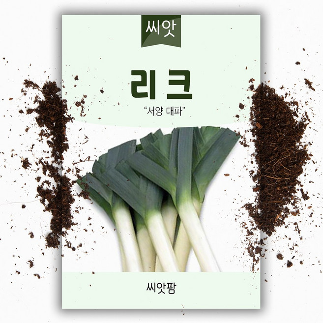 리크 LEEK (10g) 서양대파 리이크 씨앗, 1개