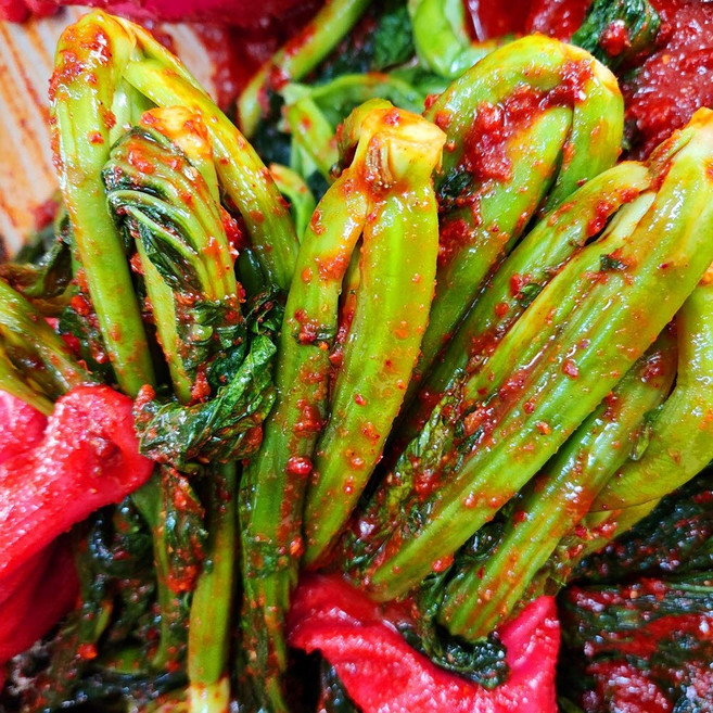 [청춘찬가]여수 돌산 갓김치 국내산 특제양념, 1개, 3kg