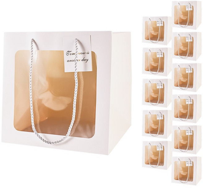 빛공 바닥넓은 정사각 투명창 윈도우 쇼핑백, 12개, 화이트