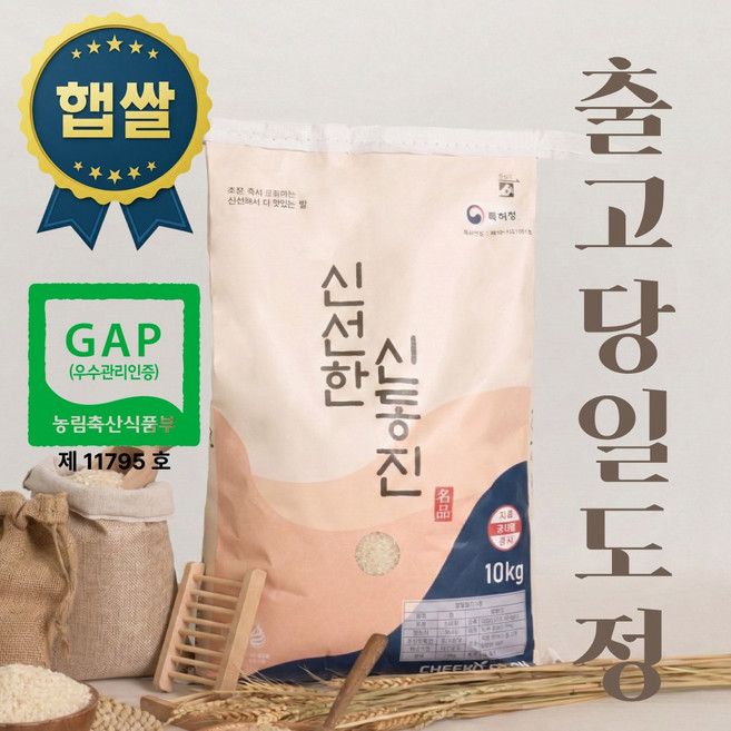 당일도정 오늘도정 즉시배송 GAP인증 신선한 신동진 10kg 단일품종 25년 햅쌀, 1개, 상등급