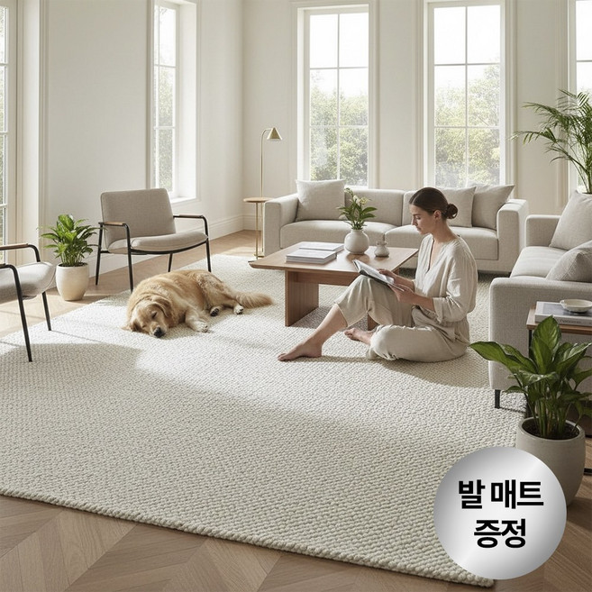 라모니 물세탁 가능한 거실 먼지없는 사계절 카페트 안전인증 특대형 러그