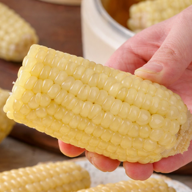 [특대사이즈] 수확급냉 쫀득달달 무첨가 백찰옥수수, 1박스, 10개 (17~18cm)