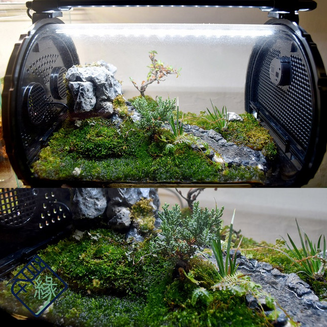 自在緣 獨家設計生態缸, 湧生態30*20*15(小), 1個