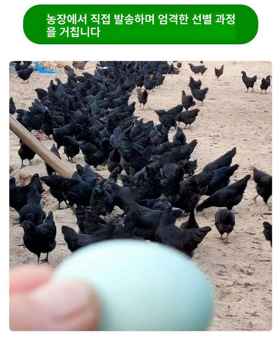 100인치 휴대용 빔스크린 빔프로젝터, 0.5kg 8마리 수컷3마리암컷5마리