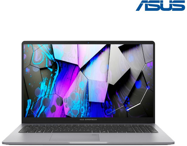 ASUS Expertbook P1 P1503CVA-S70532 / Win11 / 13세대 i5 / PD충전, ASUS P1 P1503CVA-S70532, WIN11 Pro, 32GB, 1TB, 미스티 그레이