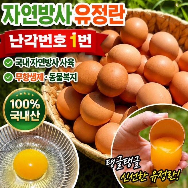 [산지픽] 난각1번 자연산란 유정란 비타민E 진한노른자 무항생제 유정란, 40구, 1개, 40구