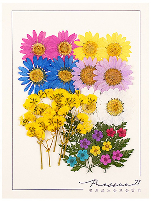 압화꽃 보존화 꽃송이 누름꽃 조화 만들기 압화재료 공예 프레스코21 종합팩 6000A, 6000H