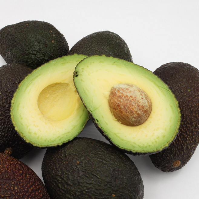 [페루산 최상급] 자연에서 준 버터 프리미엄 아보카도 슈퍼푸드, 1박스, 아보카도 특대과 5과