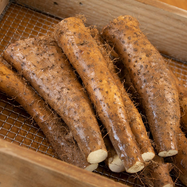 안동 태산농장 2025햇마 장마, 1박스, 2kg (b.장마알뜰)