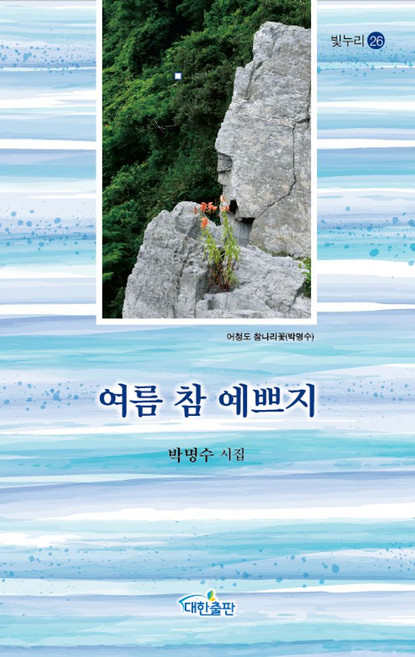여름 참 예쁘지:박명수 시집, 대한출판, 박명수 저