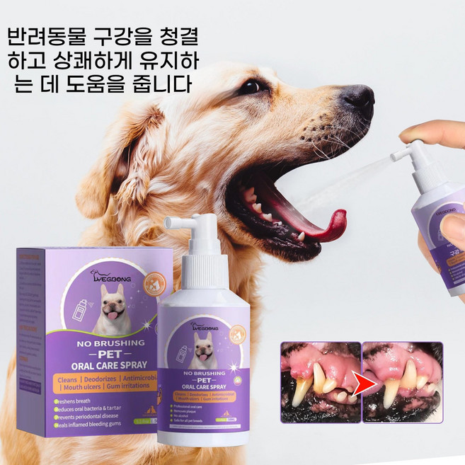 반려동물 구강스프레이 치석제거도움 입냄새케어 강아지고양이겸용, 1개, 50ml