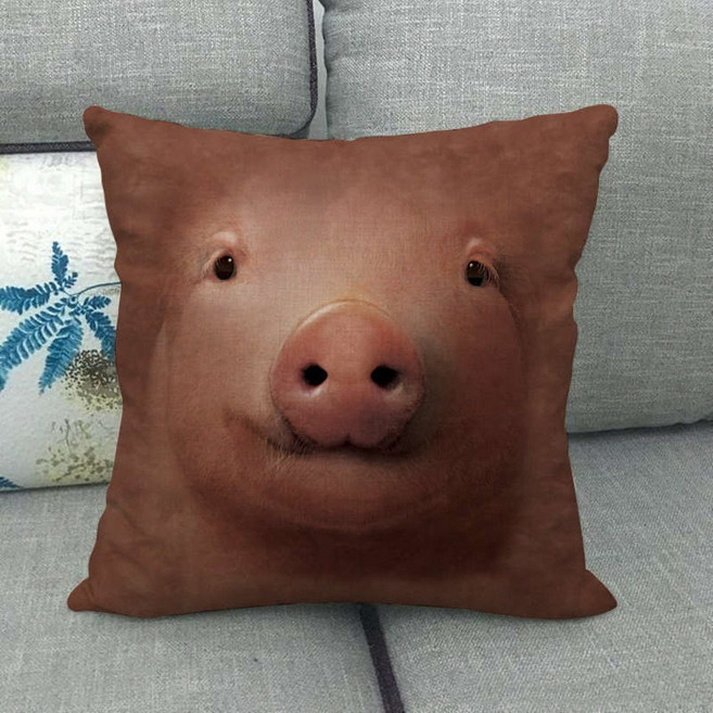 원숭이 오랑우탄 얼굴 쿠션, 돼지