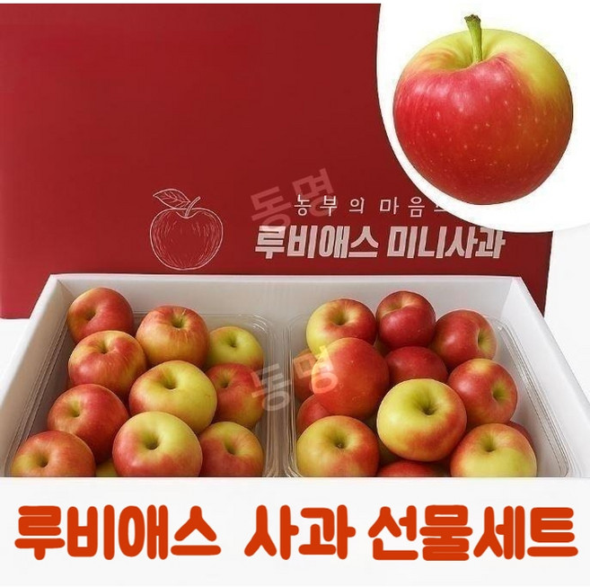 동명 경북 영천 미니 사과 루비에스 선물세트 명절 추석 2kg
