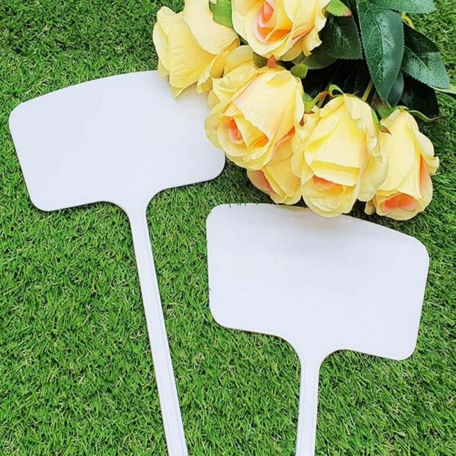 컬러 학교 명패 식물 이름표 45cm, 상세페이지 참조