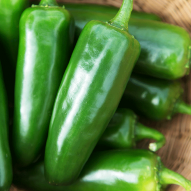 국산 할라피뇨고추 1kg 장아찌 피클 노지 산지직송, 1박스, 2kg, 봉화할라피뇨