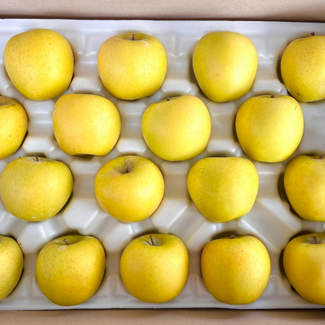 [재구매1위] 고당도 시나노골드 사과 실속형, 1박스, 3kg(소과)