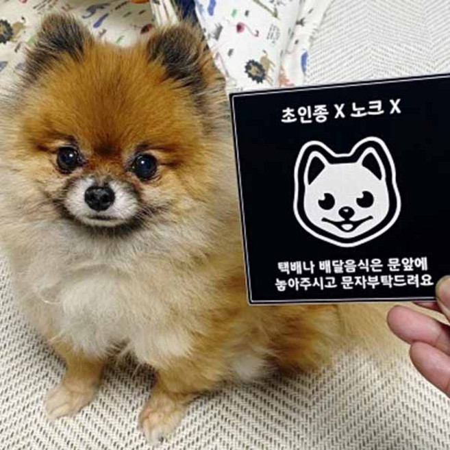 강아지문패 반려견문패 강아지가짖어요 초인종누르지마세요 현관도어사인 스테인리스 알림판, 카톡, 105, 실버