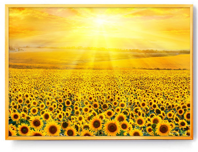 민트마켓 금빛해바라기G 금전운에 좋은 해바라기 액자 작은 변화 하나로 돈 흐름이 바뀝니다, 골드