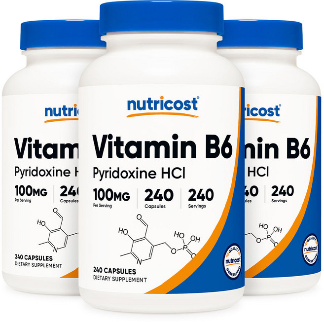 뉴트리코스트 비타민 B6 피리독신 HCl 100mg 240캡슐, 3개, 240정
