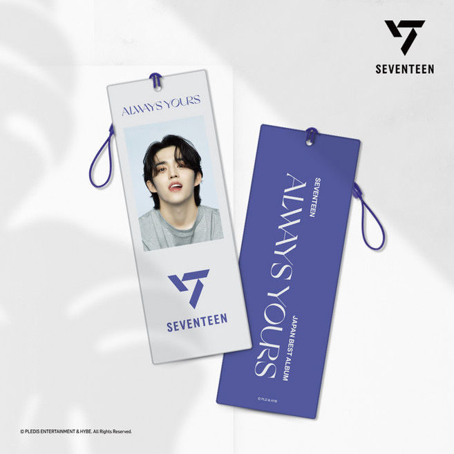 세븐틴 굿즈 북마크(일본베스트앨범 Ver2), DK, 멤버