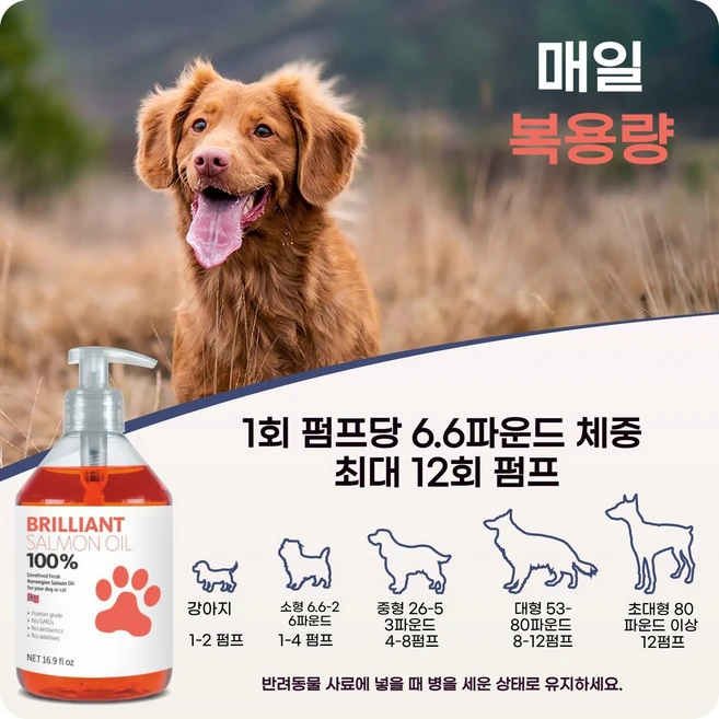 노르웨이산 연어오일 강아지 고양이 공용 피부 건강 털 윤기 개선 영양제, 1개, 종합영양제, 200g - 쿠팡