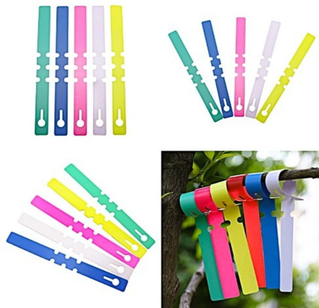 서진 나무 식물 이름표 원예 태그 타이형 고리 라벨 네임 팻말 식물원 텃밭 과수원