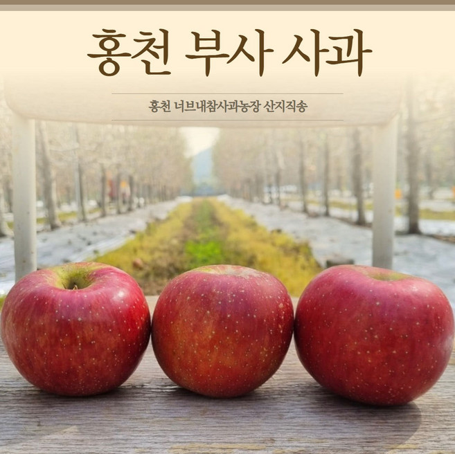 홍천 사과 부사 감홍 사과 산지직송 너브내참사과농장 홍천사과축제 참여, 1박스, 부사 10kg 소중과(43개 전후)