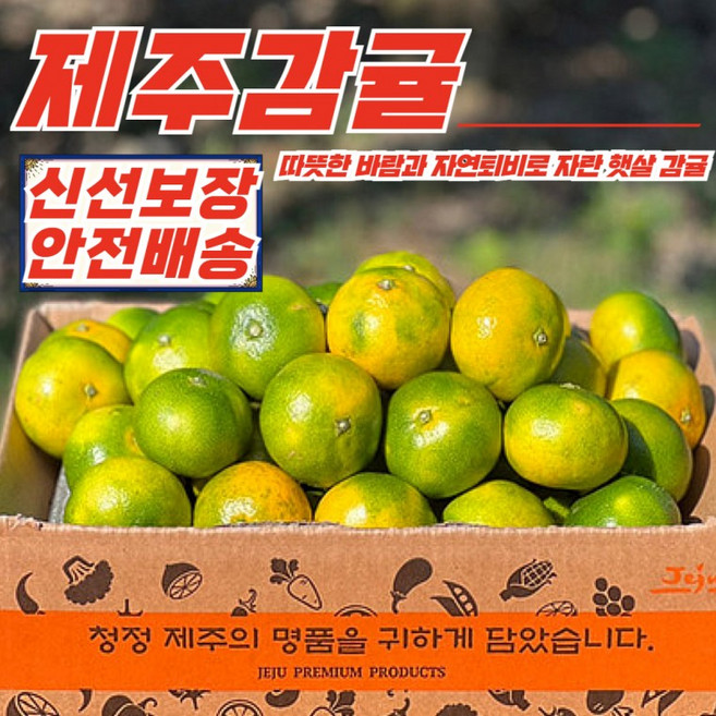 제주 햇살 극조생 감귤 소과 2.5kg, 1개, 상세페이지 참조