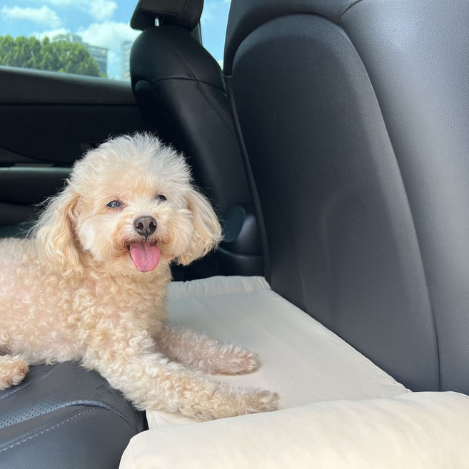 카스툴 뒷좌석용 강아지 떨어짐방지 안전 보조 카시트 차량용 확장형 중형견 대형견 콘솔박스 쿠션, 아이보리, 1개