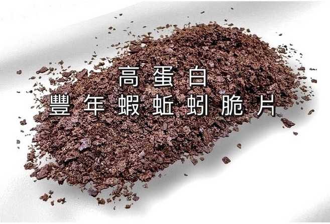 豐年蝦蚯蚓薄片 孔雀魚飼料 燈魚飼料 小型魚飼料 金魚飼料 七彩神仙飼料, 1個, 1公克