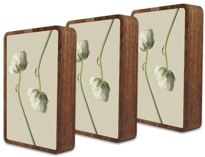 6.5x9.5 멀바우 미니액자 원목액자 포토테이블 납골당 꾸미기 나무액자, 3개, 진갈색