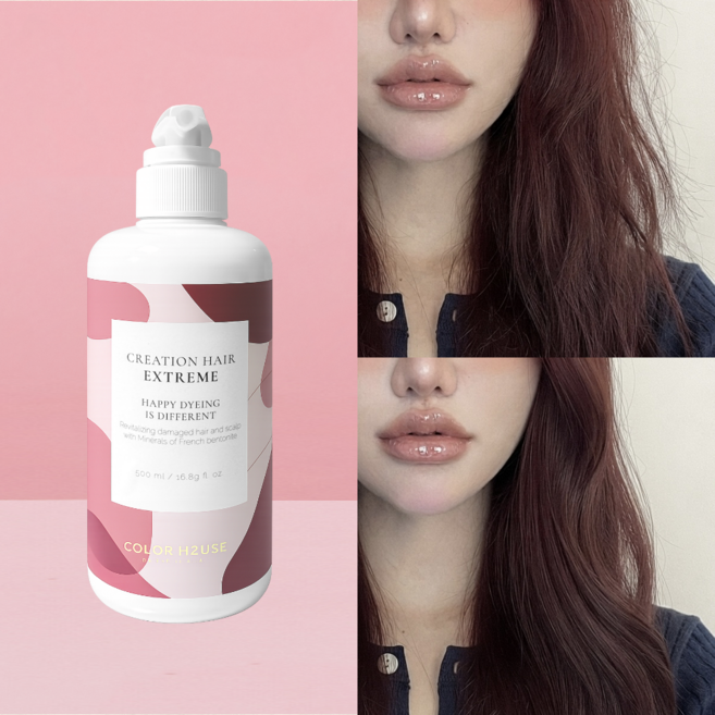 컬러하우스 미용실 단백질 헤어팩 트리트먼트 극손상모 복구 클리닉 헤어익스트림, 1개, 500ml