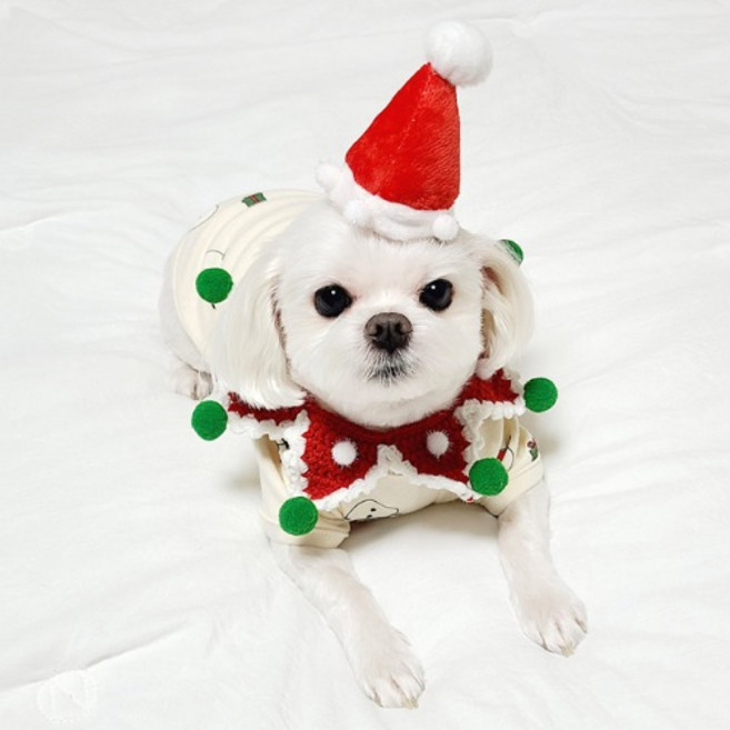 강아지 크리스마스 케이프 폼폼 뜨개질 고양이, 수박