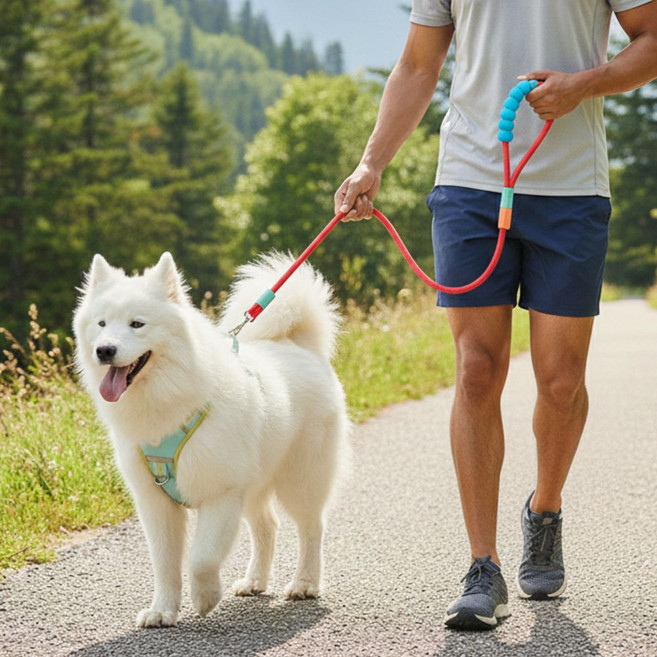 유또 강아지 목줄 러닝 산책 핸즈프리 세트, 1개, 레드