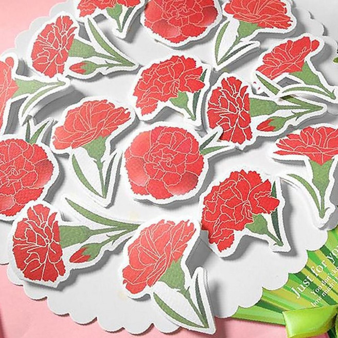 대형 카네이션 꽃다발 롤링페이퍼 카드 2P 스승의날 OC_0426TCM