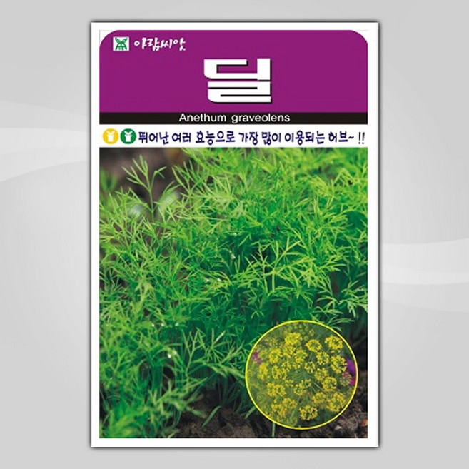 슬로시 허브씨앗 딜 300립, 1개