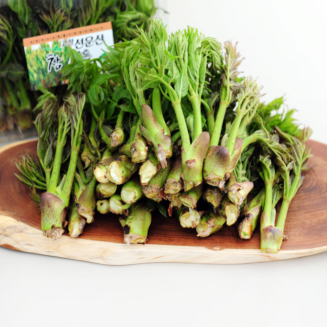 국내산 당일수확 땅두릅 특품, 500g, 1개