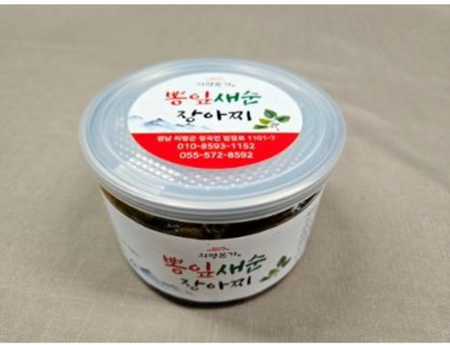 장아찌 뽕잎 머위 신선초 오가피 마늘쫑 봄철 새순 장아찌, 택배, 오가피새순, 1개, 400g