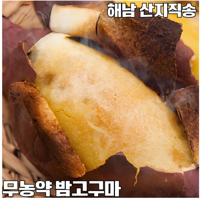 무농약] 퍽퍽한 해남 고구마 밤고구마, 1개, 한입 1kg