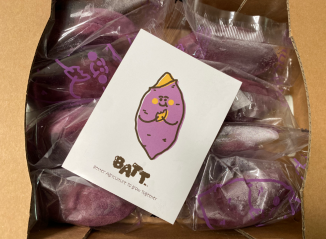 정품) 춘천 감자밭 국산 군고구마빵 냉동 디저트 고구마 간식 택배 고구마빵 쌀가루 아침식사대용 아침대용 식사대용 간편식 먹기편한 간편식 아이간식 답례떡 No밀가루, 8개, 100g