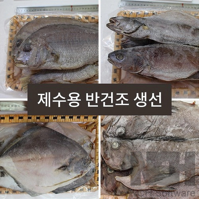 [목포특산] 제찬/이바지 반건조 생선 실속 굴비세트(조기5미/도미1미/민어1미/장대1미), 조기굴비5미/민어굴비1미/참 도미1미/장대 1미, 1개