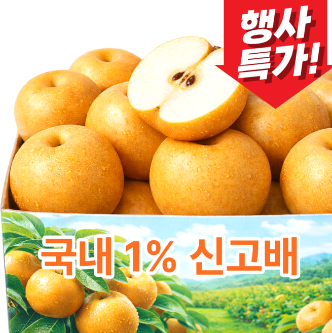 [200개 초특가] 고당도 신고배 가정용 햇 배, 1개, 곧마감 _5kg (오늘특가!