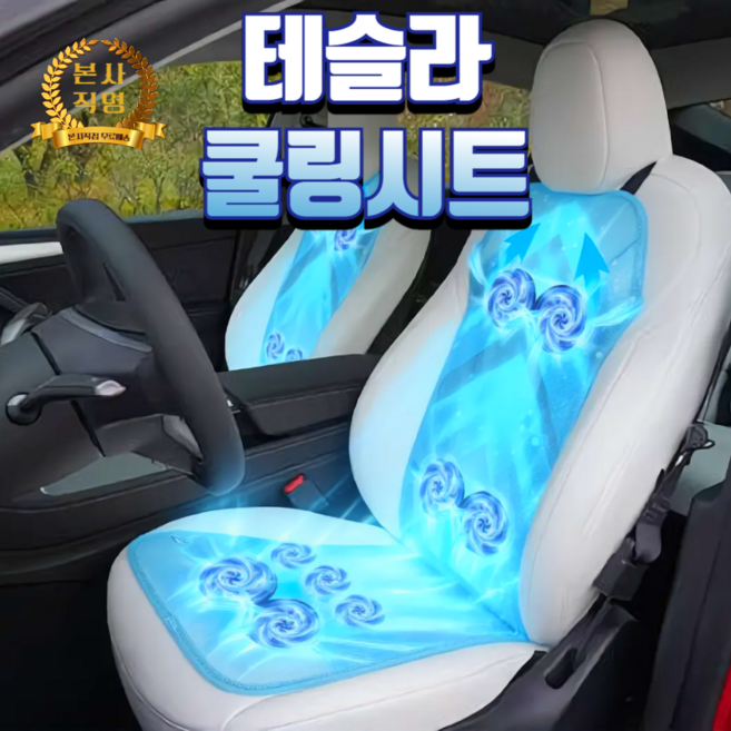 테슬라 쿨링시트 통풍시트 자동차 여름방석 쿨시트 테슬라 전 모델 가능, 1개, 블랙12팬12V
