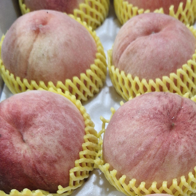 말랑 딱딱 황도 백도 복숭아 경산 영천 직배송 4kg, 1박스, 말랭이 황도 백도 로열과 4kg 15-18과 랜덤발송