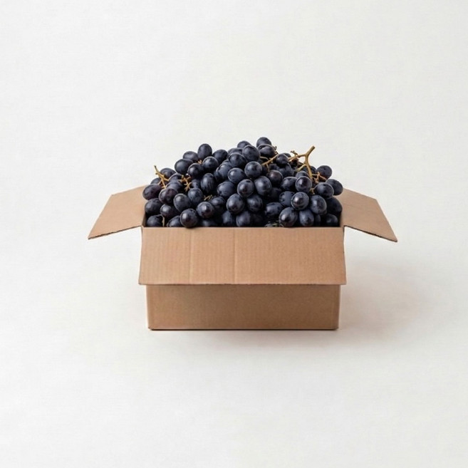 프리미엄 아도라 블랙포도 4kg 씨없는포도